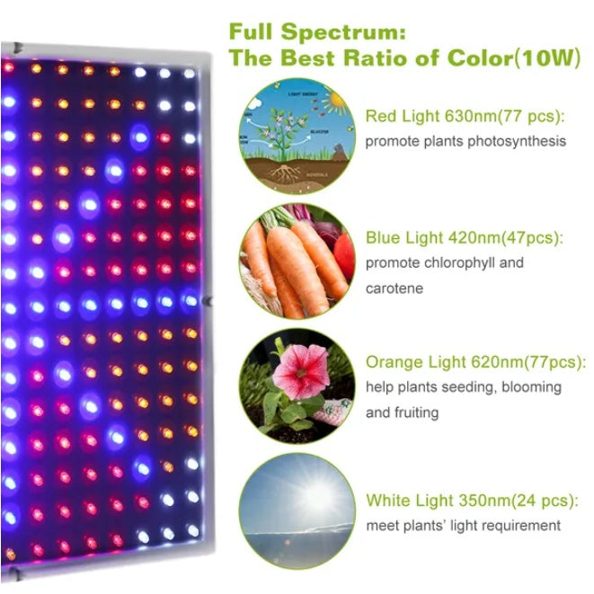 Full Spectrum Indoor Plant Growth Lamp - Sublime Elevation